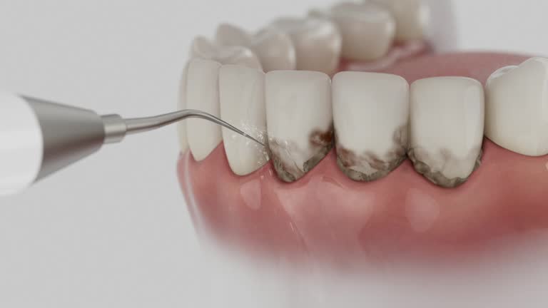 Reliable Dental contractor in Bellaire, TX by Dentist Open Now
